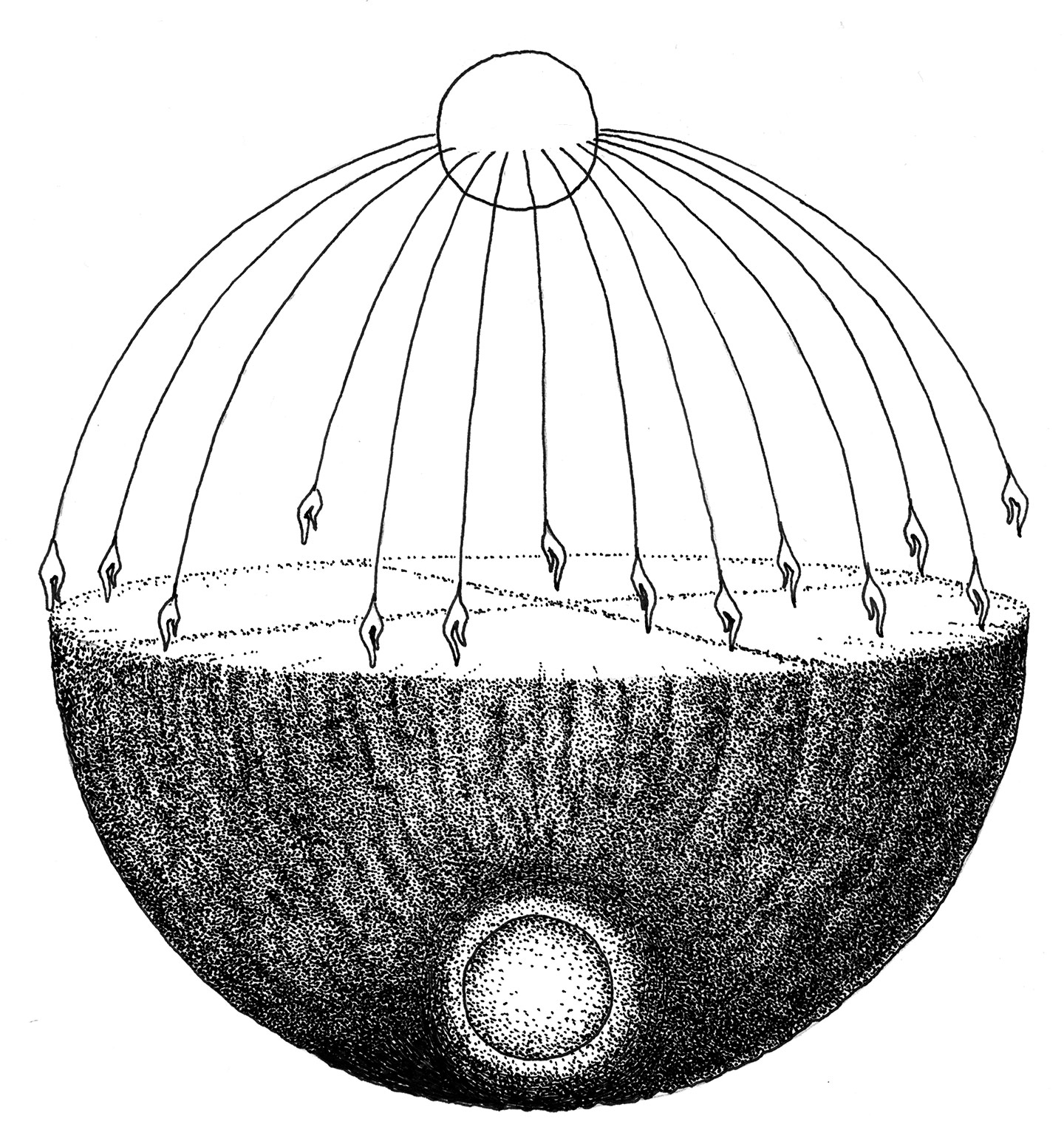 Auiditorium - Quartet - model
